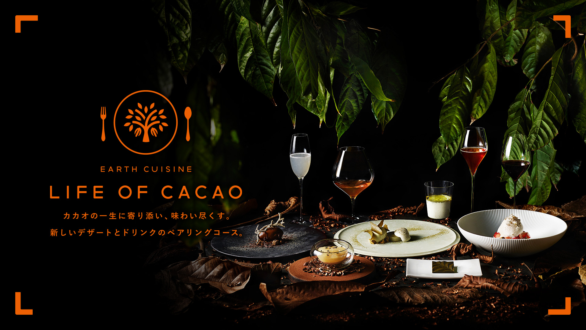 LIFE OF CACAO